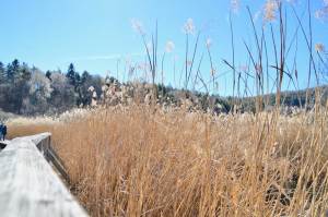 Gartenhotel Moser travel.mosi-unterwegs.de
