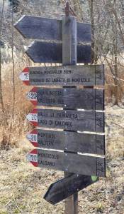 Gartenhotel Moser travel.mosi-unterwegs.de