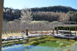 Gartenhotel Moser travel.mosi-unterwegs.de