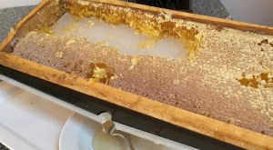 INNsHOLZ mosi-unterwegs.de