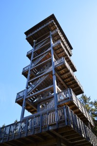 INNsHOLZ mosi-unterwegs.de