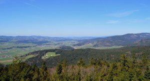 INNsHOLZ mosi-unterwegs.de