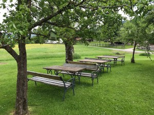 Puradies Leogang mosi-unterwegs