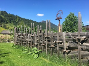 Puradies Leogang mosi-unterwegs