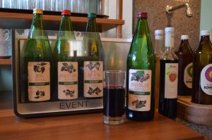 Hotel Guglwald - travel.mosi-unterwegs.de