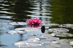 Hotel Guglwald - travel.mosi-unterwegs.de