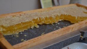 Hotel Almesberger - Mühlviertel - mOsi-unterwegs