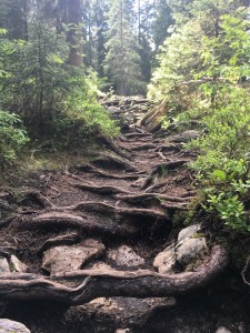 Insiderwissen Karersee