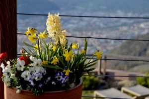 Hotel Belvedere in Jenesien, Südtirol - mosi-unterwegs