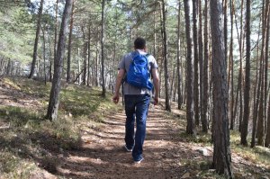 Hotel Belvedere in Jenesien, Südtirol - mosi-unterwegs