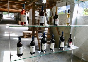 Hotel Belvedere in Jenesien, Südtirol - mosi-unterwegs