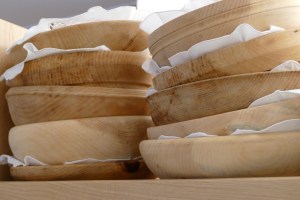 Hotel Belvedere in Jenesien, Südtirol - mosi-unterwegs