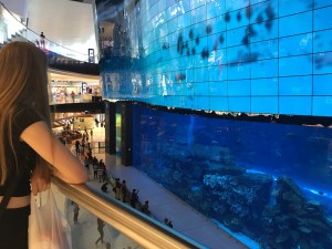 mosi-unterwegs nach Singapur