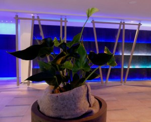 Design- und Wellnesshotel Bergland - mosiunterwegs