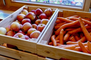 Natur- und Wellneshotel Höflehner by mosiunterwegs