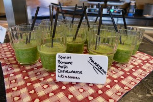 Natur- und Wellneshotel Höflehner by mosiunterwegs