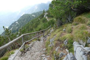 Natur- und Wellneshotel Höflehner by mosiunterwegs