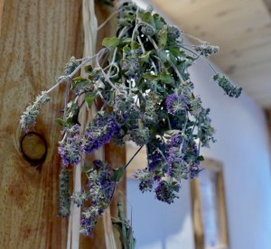 Natur- und Wellneshotel Höflehner by mosiunterwegs