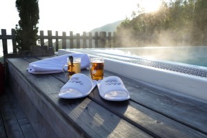 Natur- und Wellneshotel Höflehner by mosiunterwegs