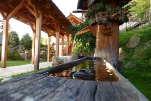 Natur- und Wellneshotel Höflehner by mosiunterwegs