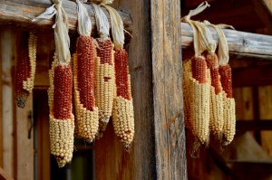 Almdorf Seinerzeit - mOsi-unterwegs