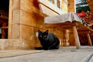 Almdorf Seinerzeit - mOsi-unterwegs