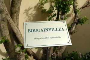 Grand Hotel Fasano - travel.mosi-unterwegs.de