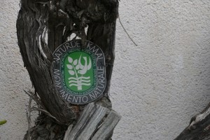 Hotel Botango - travel.mosi-unterwegs