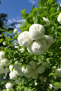 Hotel Botango - travel.mosi-unterwegs