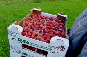 Hotel Ambet in Meransen in Südtirol Alpine Lifestyle in Südtirol - mOsi-unterwegs