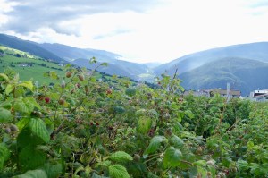 Hotel Ambet in Meransen in Südtirol Alpine Lifestyle in Südtirol - mOsi-unterwegs