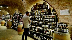 Naturhotel Rainer - mOsi-unterwegs - Genussreise.blog