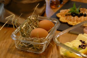 Boutique Apartment Sonnenhang - mOsi-unterwegs