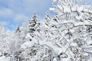 Geniesserhotel - GenussReise.blog