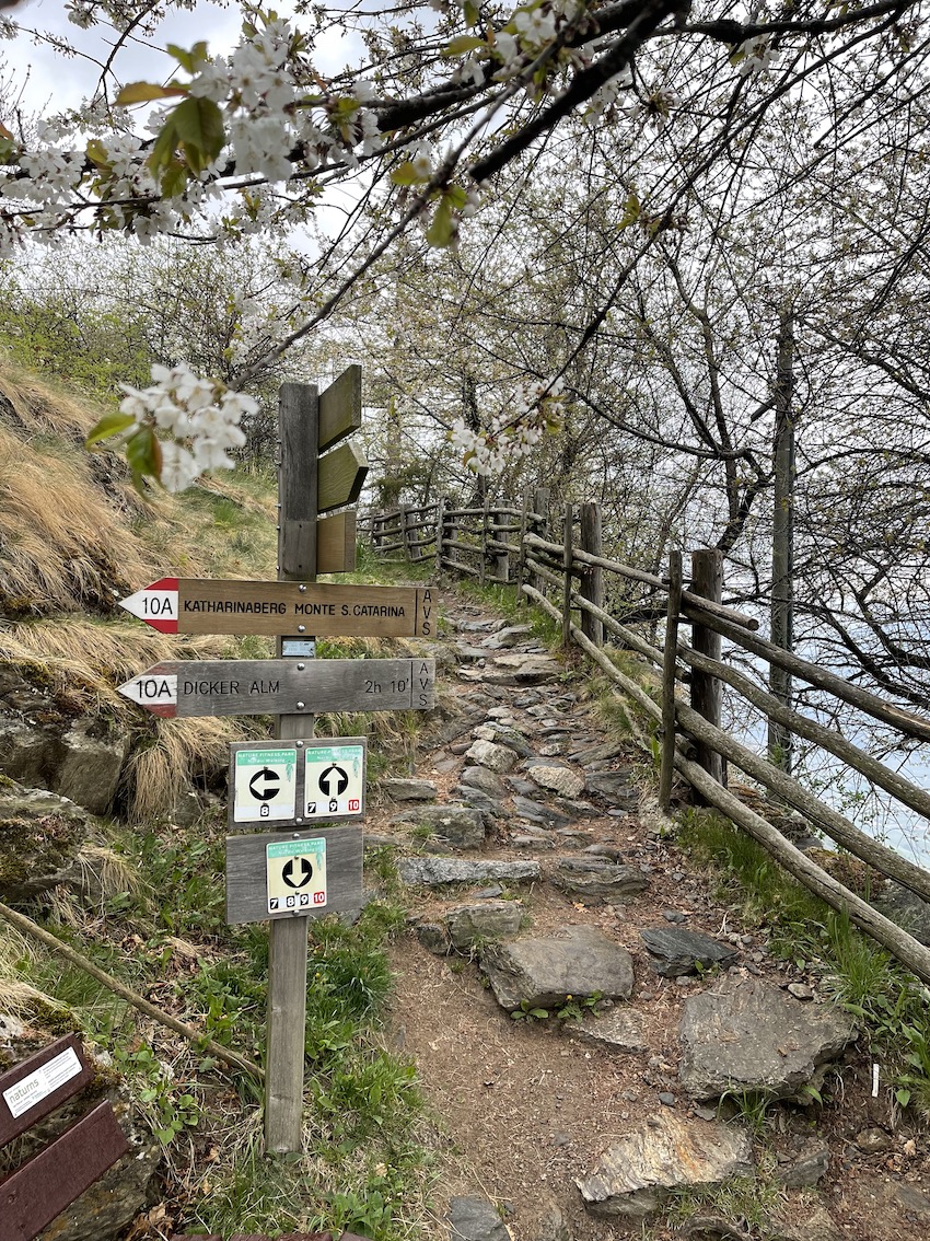 Meran - Südtirol - GenussReise.blog