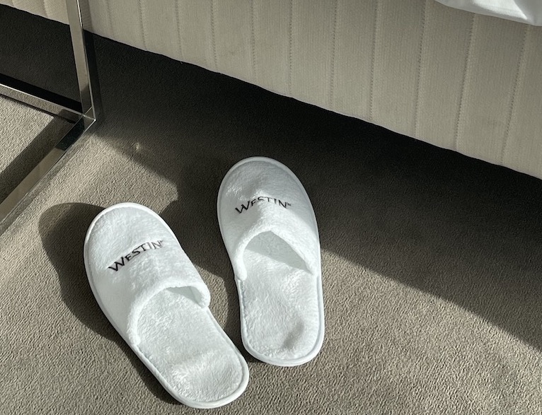 Elbphilharmonie - The Westin Hamburg - GenussReise.blog