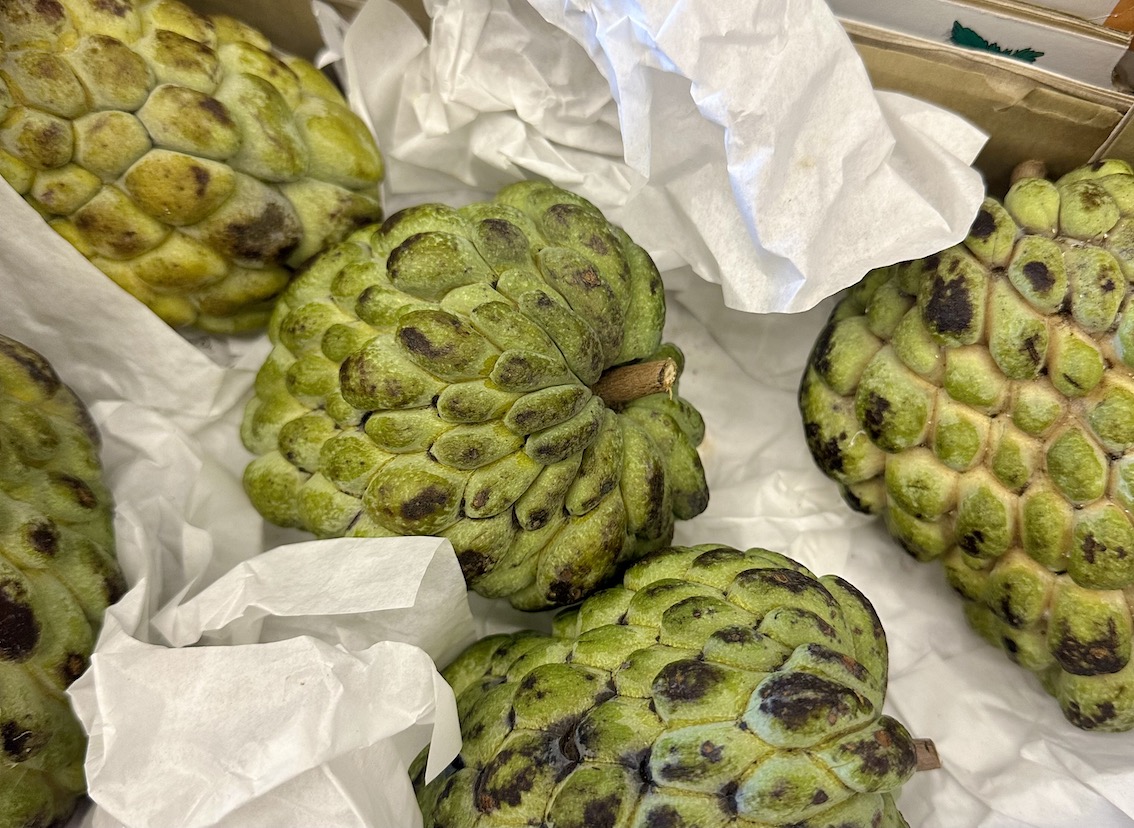 Abu Dhabi Roadtrip - GenussReise.blog