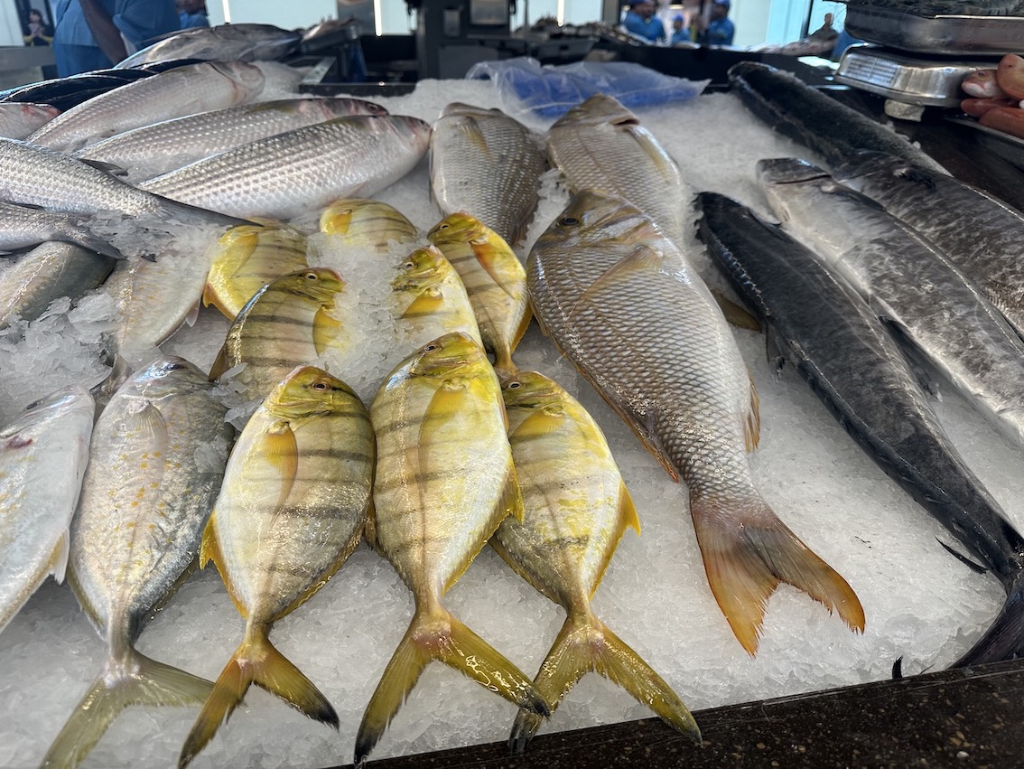 Abu Dhabi Roadtrip - GenussReise.blog