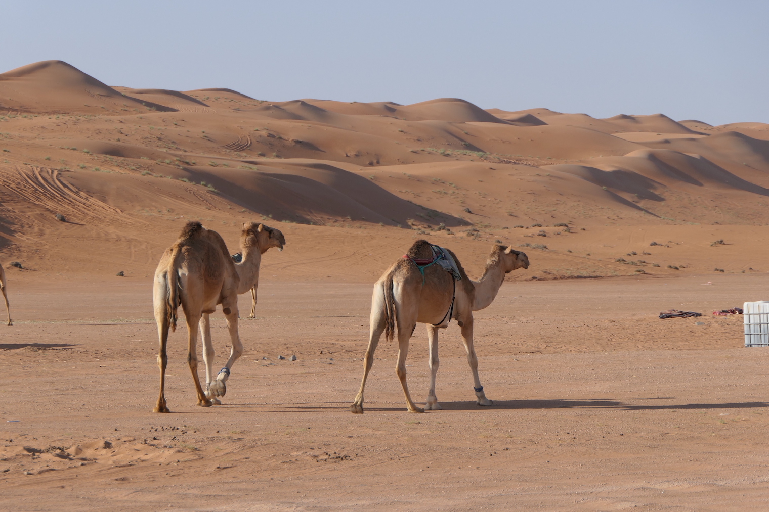 Oman - GenussReise.blog