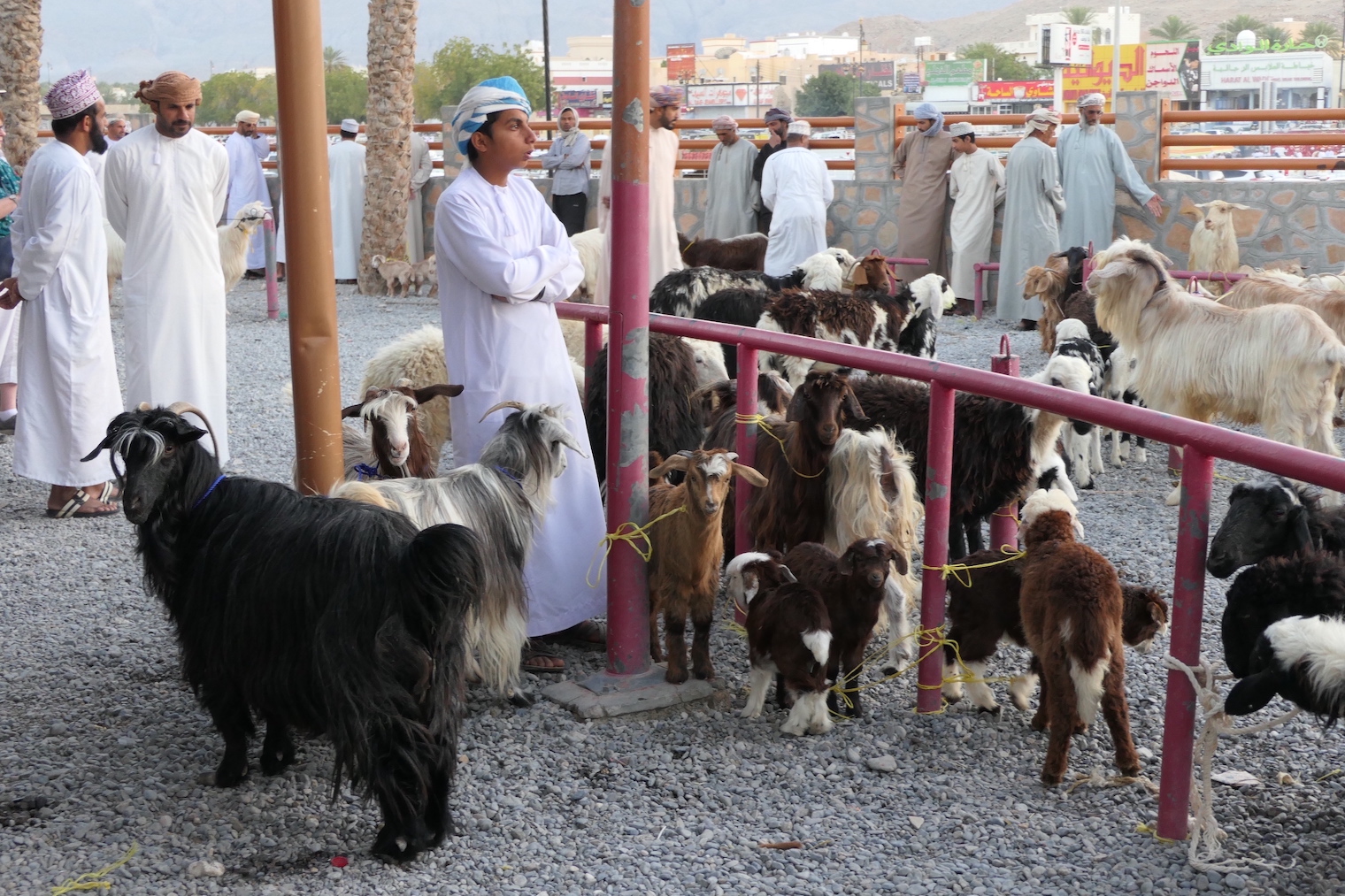 Oman - GenussReise.blog