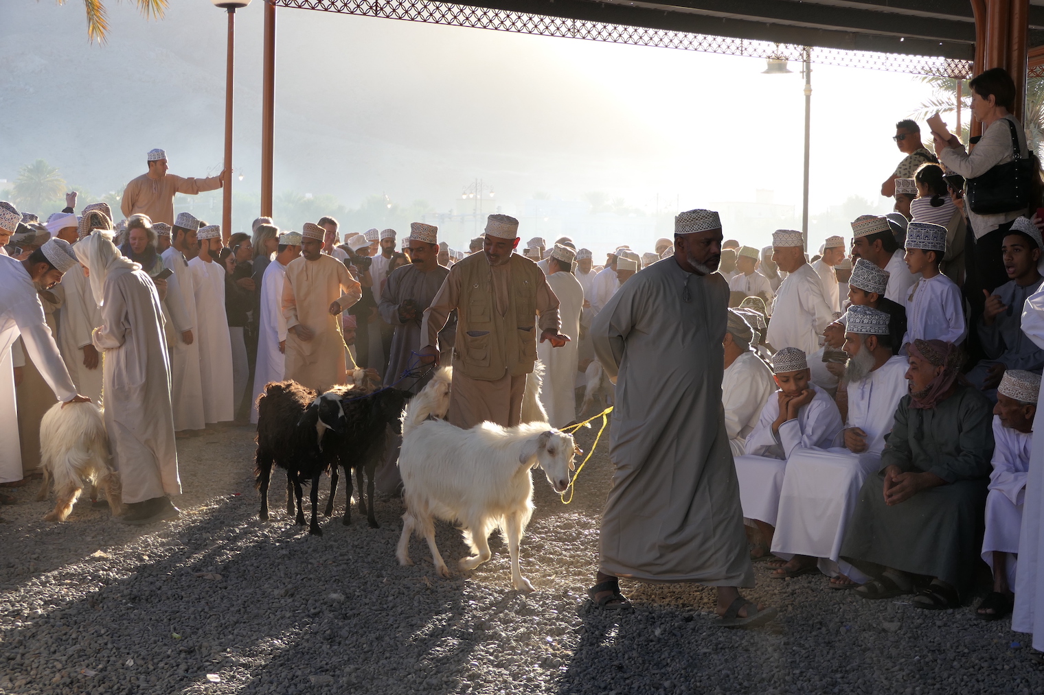 Oman - GenussReise.blog