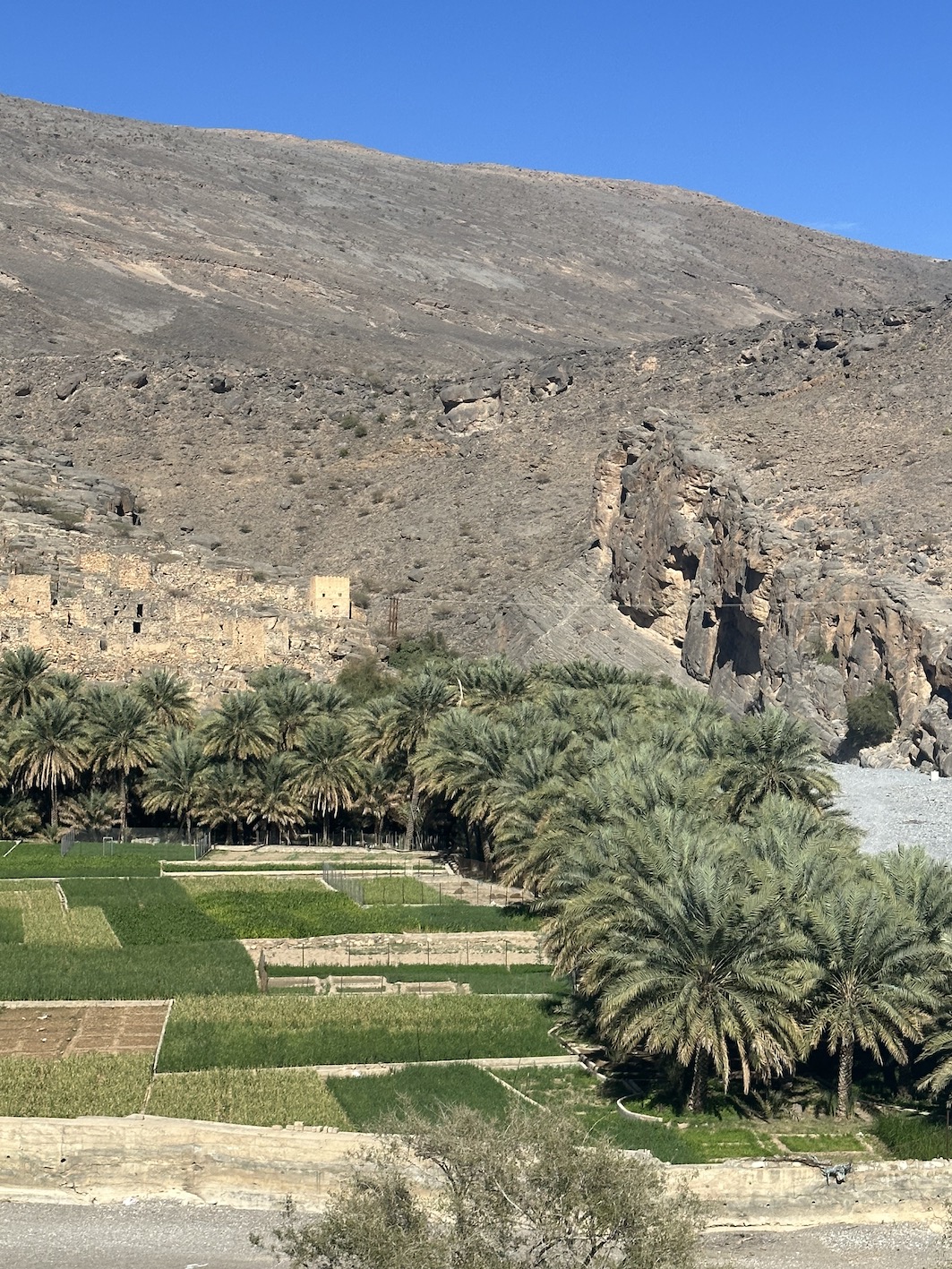 Oman - GenussReise.blog