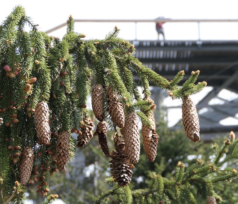 Erlebnis-Resort LIPNO- GenussReise.blog
