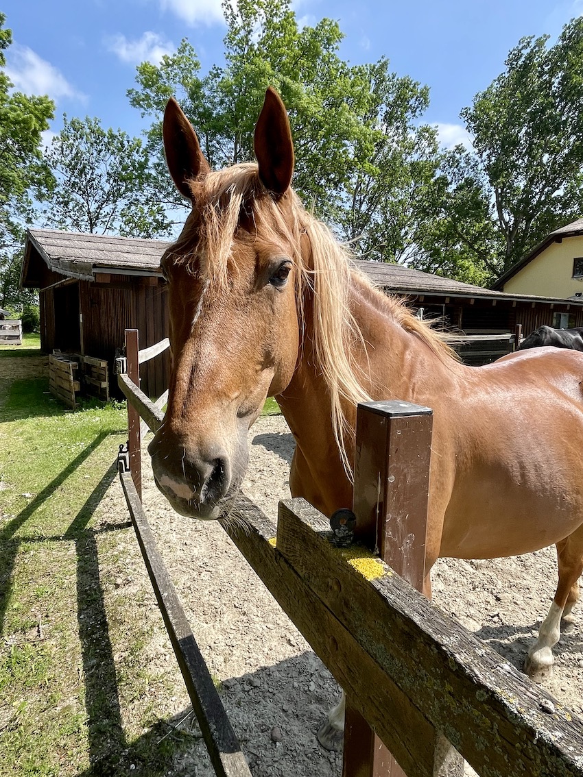 VILA VITA PANNONIA - GenussReise.blog