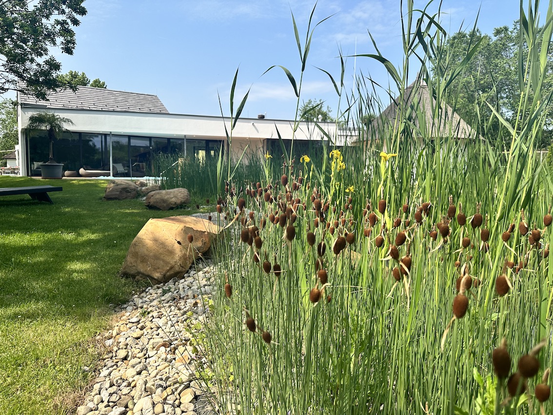 VILA VITA PANNONIA - GenussReise.blog