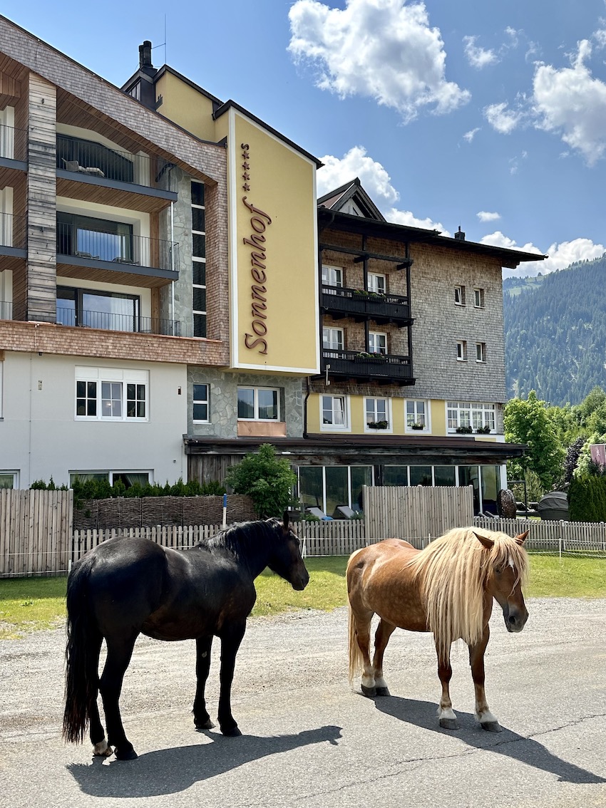 Hotel Sonnenhof Tannheimer Tal - GeussReise.blog