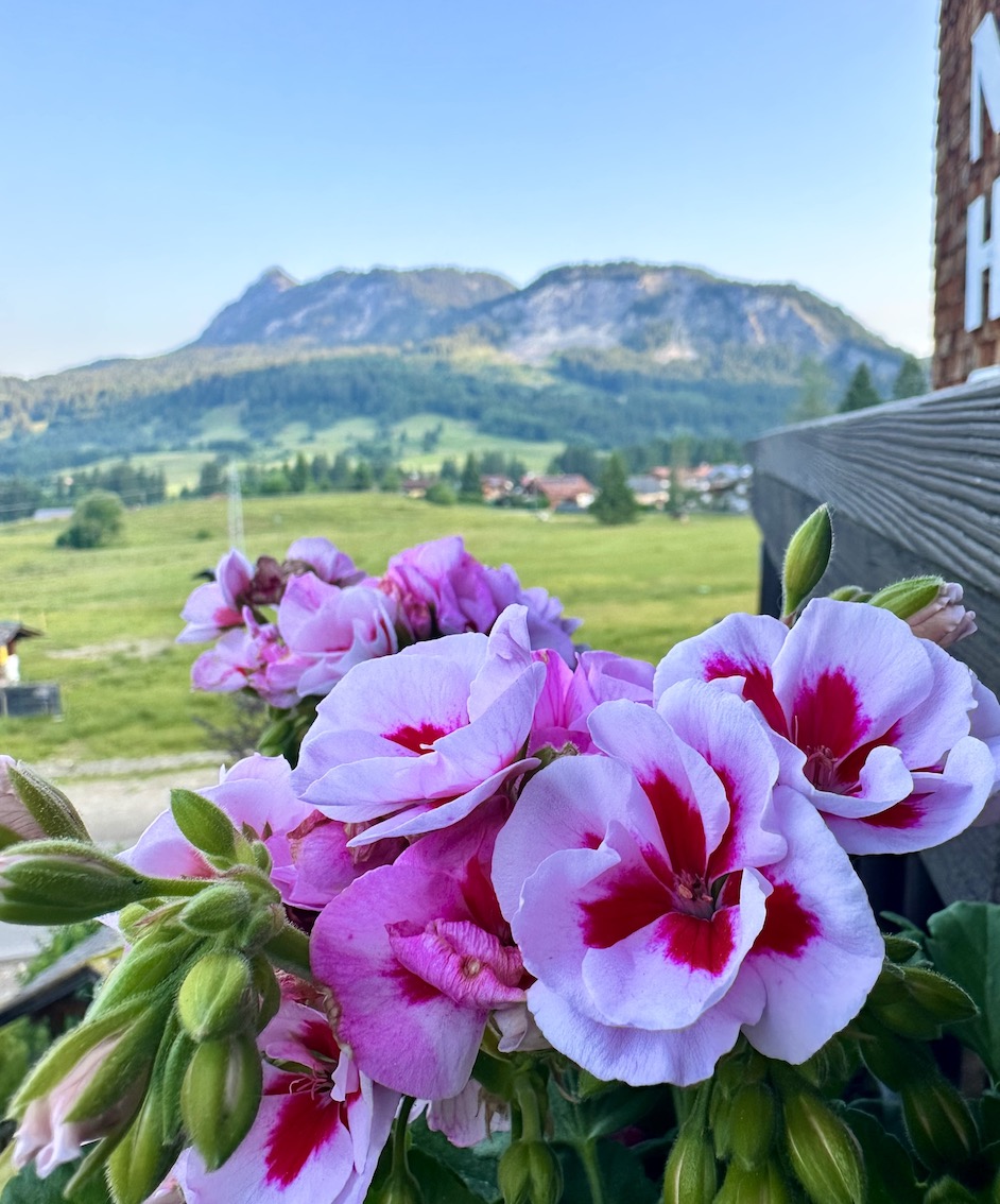 Hotel Sonnenhof Tannheimer Tal - GeussReise.blog