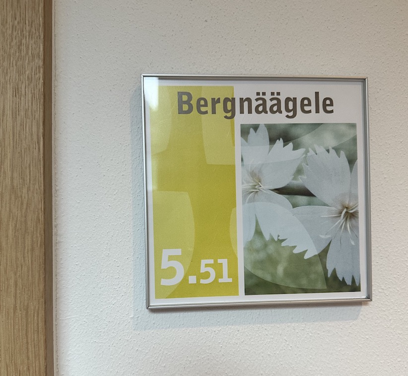 GenussReise Kleinwalsertal - Genuss- und Aktivhotel Sonnenburg - GenussReise.blog