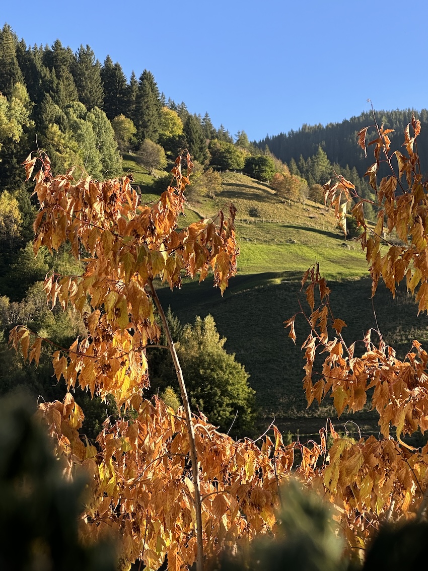 SeeMount Paznaun Genussreise.blog