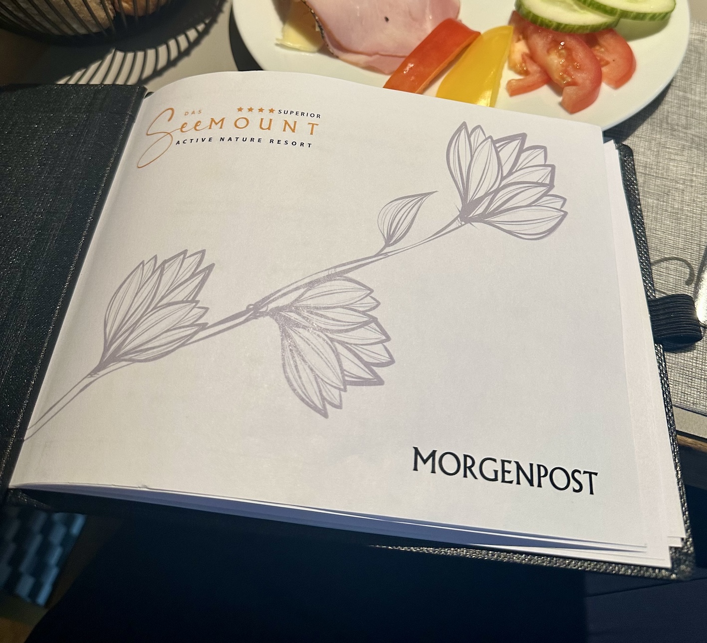 SeeMount Paznaun Genussreise.blog